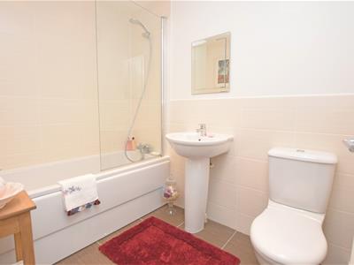 Picture 23
